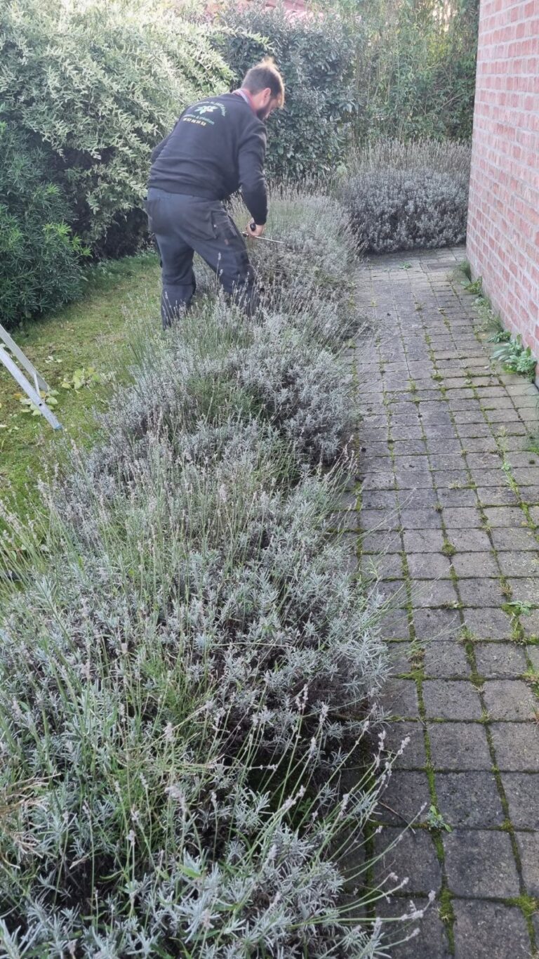Paysagiste à Lestrem – Création & entretien de jardin