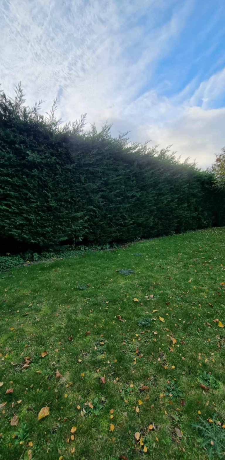 Paysagiste à Lestrem – Création & entretien de jardin