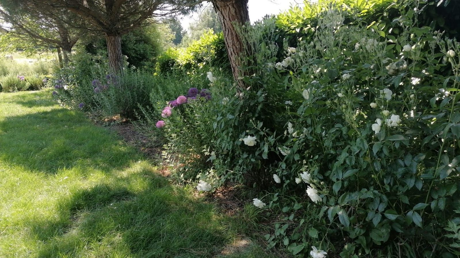 Paysagiste à Lestrem – Création & entretien de jardin