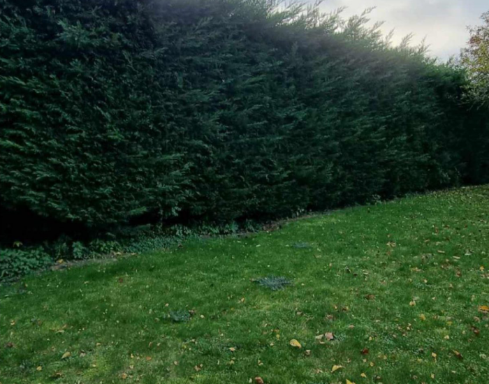 Paysagiste à Lestrem – Création & entretien de jardin